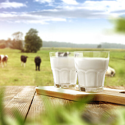 Zwei Gläser Milch auf einem Brett in der Natur